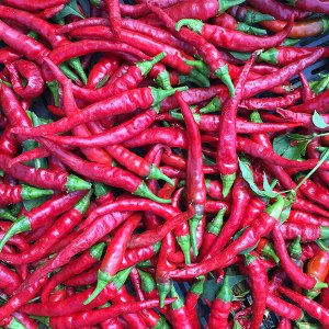 long-red-cayenne-pepper-seeds-capsicum-annuum-202-monticello